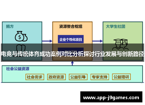 电竞与传统体育成功案例对比分析探讨行业发展与创新路径