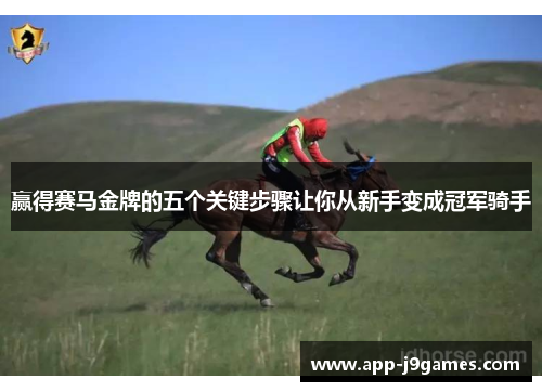 赢得赛马金牌的五个关键步骤让你从新手变成冠军骑手